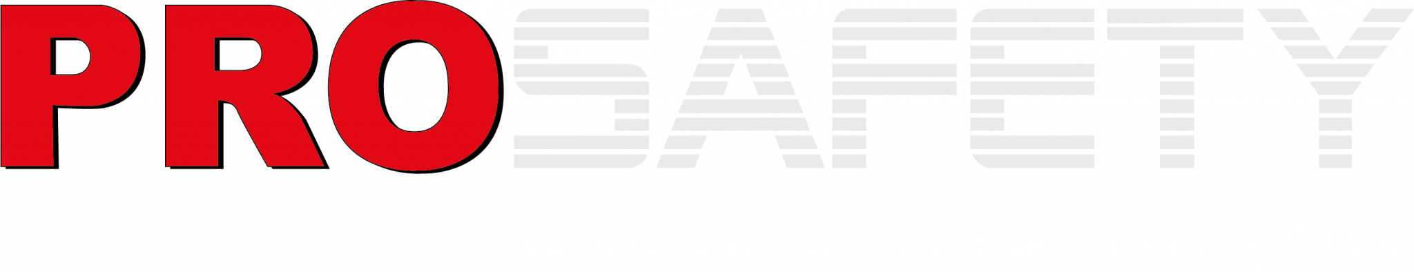 ProSafety AG Logo